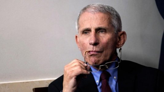 fauci.jpg