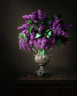 Tumblr_l_27333322156256.jpg