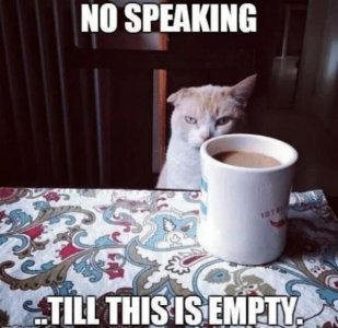 try-not-to-spit-out-your-coffee-reading-these-funny-coffee-memes-100-memes-16.jpg