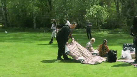 ConventionalThoughtfulElephantseal-size_restricted.gif