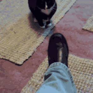 tumblr_mj0quq39Lp1riml7wo1_400.gif