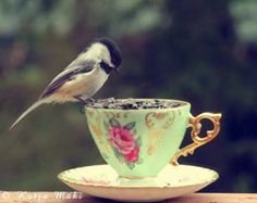 6a35b76139ea0e164caf74f9860eaaea[1].jpg