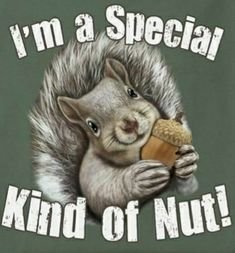 e22b1afcf6041082dc8f6f6e46941252[1].jpg
