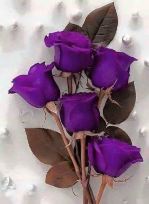 Tumblr_l_6966359544555.jpg