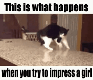 2a9dabc6b86ddf4c70f2dfebb50fe862.gif