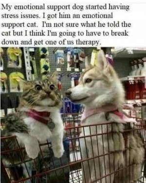 1D68ED68-F53E-437D-B11F-3430F5301546.jpeg