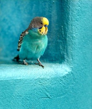 Tumblr_l_69479110300265.jpg