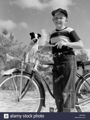 trainbike.jpg