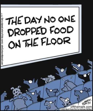 noonedroppedfood.jpg