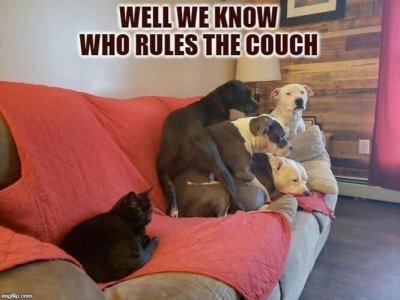 rulesthecouch.jpg