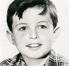 Jerry Mathers interview, part one