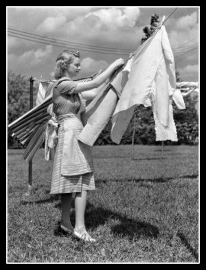 nos clothes line.jpg