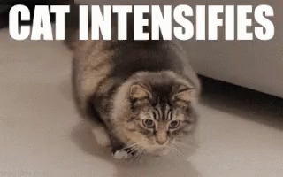 521afc8410cb652501cf94043b18bb1a.gif