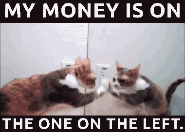 a753bb46b4918167872acc8847bbabd3.gif