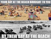 Beach Memorial.jpg