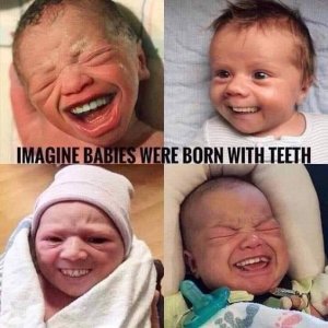 520ab91b125ce89f28039a7f685986c0[1].jpg