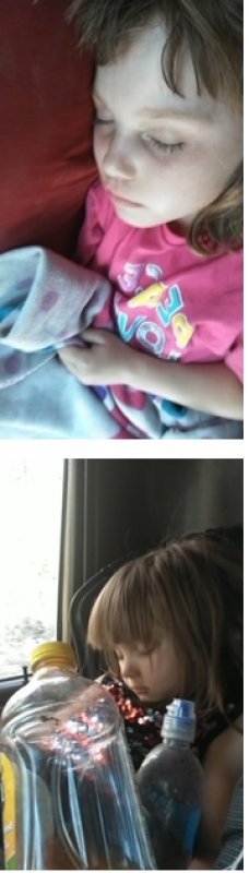 sleep fin.jpg