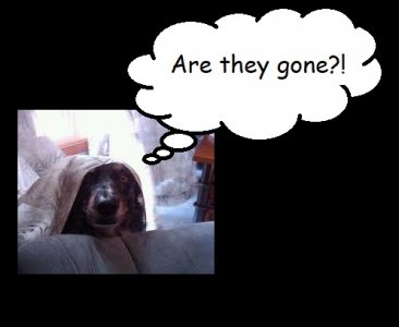 are they gone.jpg