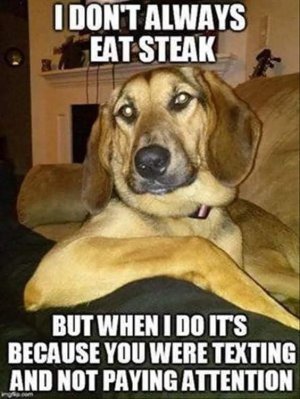 FB_IMG_1622271621238.jpg