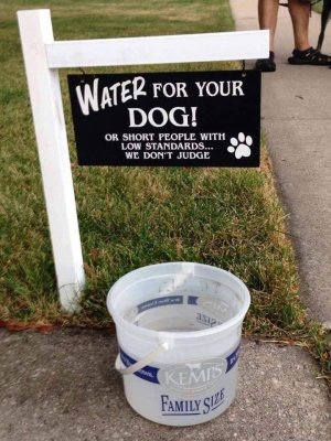 waterfor.jpg