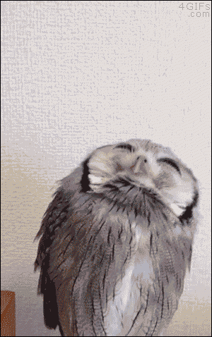0538c3c8141b01c0d6992ff64985f716[1].gif