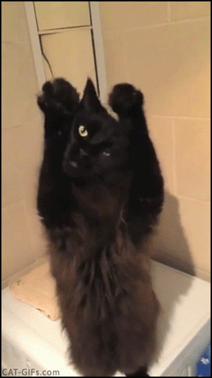 8a42deb99dedffb054d8186bb7d786e7.gif