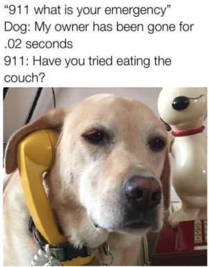 eatingthecouch.jpg