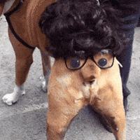 200 (1).gif