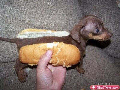 hot dog.jpg