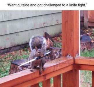 knifefight.jpg