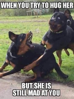 FB_IMG_1622919411792.jpg