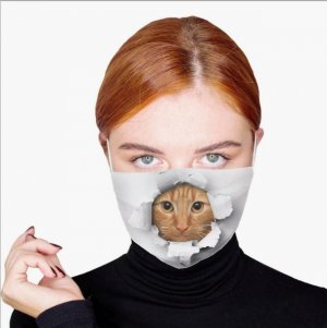 cat-face-mask-z.jpg