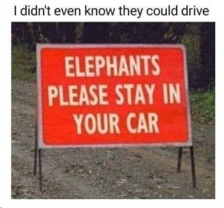 97C1491B-FB72-4690-9C42-086F01CD6C10.jpeg