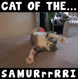 casino-war-cat-samurai.gif