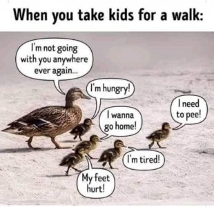 8F926F1E-B1ED-4487-860F-8826CCC71F8A.jpeg