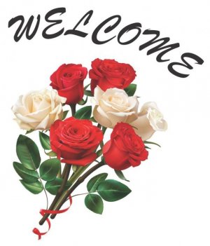 Wallmatrix-Welcome-Sticker-40-x-SDL950970062-1-52395.jpg