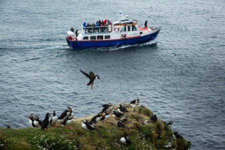 puffins boat.jpg