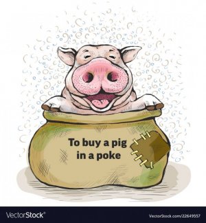 Pig in a poke.1.jpg