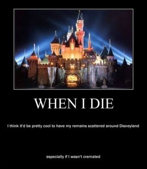 last-wish-anything-your-heart-desires.jpg