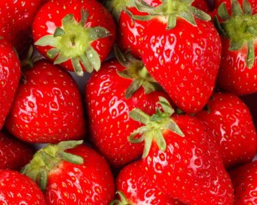 strawb4.jpg