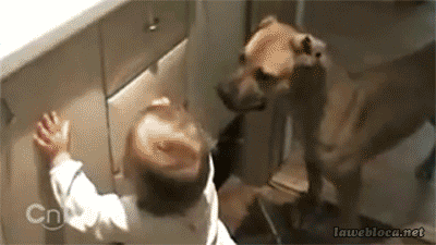 hU4yJ7F.gif hU4yJ7F.gif