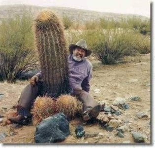 cactus.jpg
