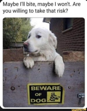fordogsthread2.jpg
