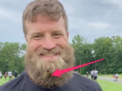 cicada in beard.jpg