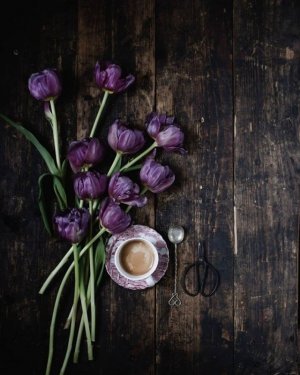 Tumblr_l_17933280775019.jpg