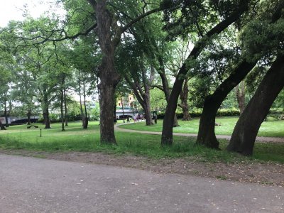 C3CE7AE8-558B-4A9A-AD5D-91E91C9E1E3C.jpeg