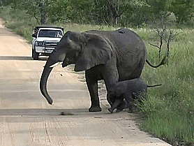 b5fe54eb0e848d94f1fe19c870d07277[1].gif