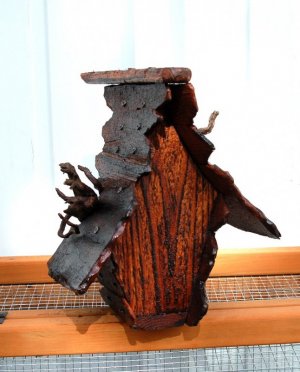 really good b hse 6-10-21 back side.jpg