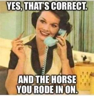 FB_IMG_16231065430490263.jpg