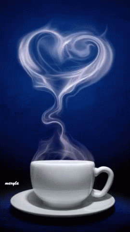 a1c1a4119918f6ce45044503d55504e5.gif